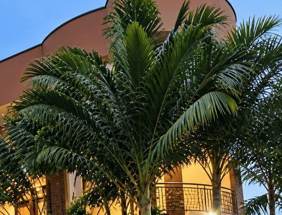 Palm trees in front of the hotel